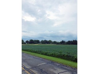Kosciusko County, Indiana farmland - REAL ESTATE AUCTION - 91+/- ACRES IN 4 TRACTS IN KOSCIUSKO COUNTY, INDIANA